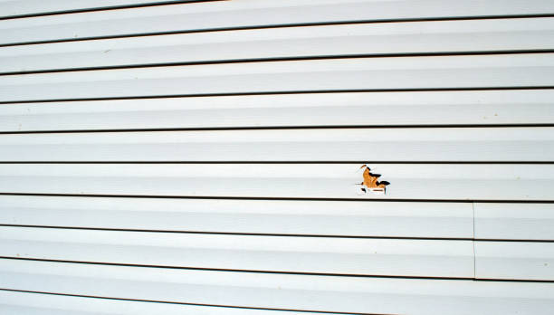 Professional Siding Installation & Repair in Aberdeen, MS